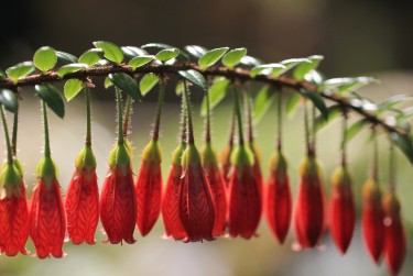 惠州惠城私人快速借钱网，轻松解决资金难题