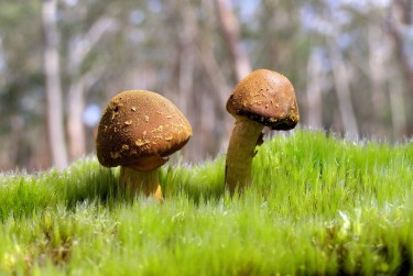 惠州惠城私人老板放款：轻松融资的秘密通道